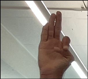 aha Object Detection Model by SRP