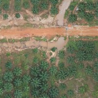 OIL-PALM-ROBOFLOW project thumbnail