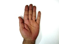 hand last project thumbnail