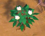 AlbionGather project thumbnail