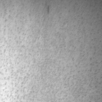 NEU_Original_Split project thumbnail