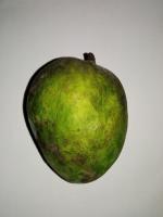 Fruit Quality Detection project thumbnail