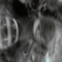 FYP project thumbnail