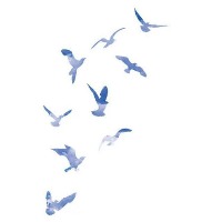 YSC bird project thumbnail