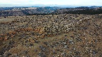 Forest Health Tracker project thumbnail