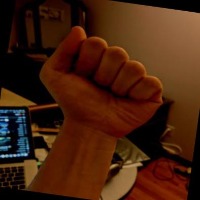 Dataset Image