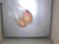 tomates_1 project thumbnail