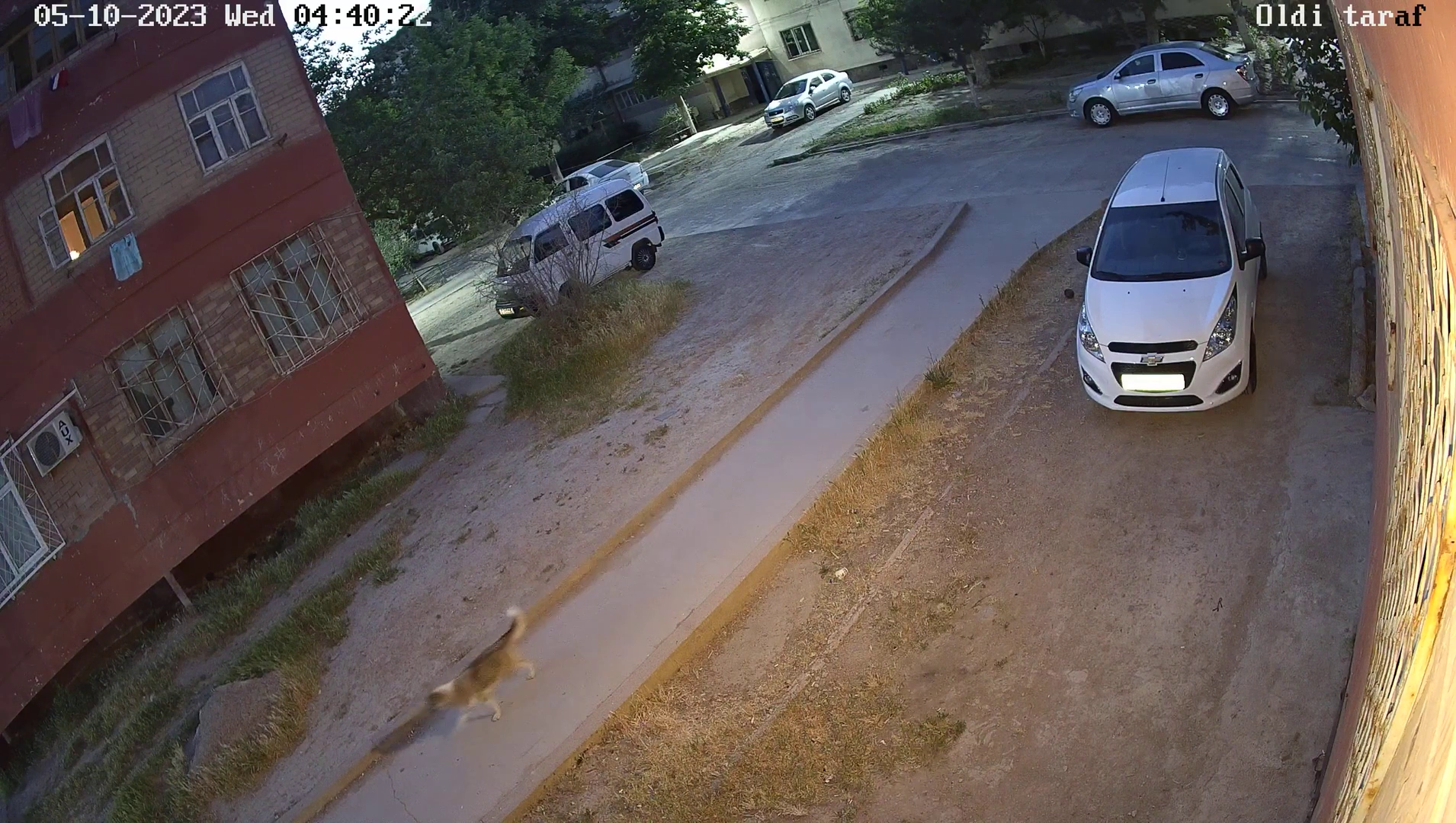 Custom Workflow Object Detection Object Detection Dataset by Dog ...