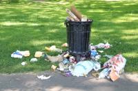 Litter Severity Detection project thumbnail