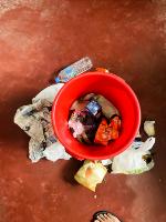 Find litter project thumbnail