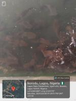 Fish Detection project thumbnail