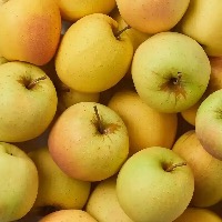 Apple type project thumbnail