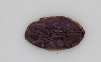 Cacao Mala Calidad project thumbnail