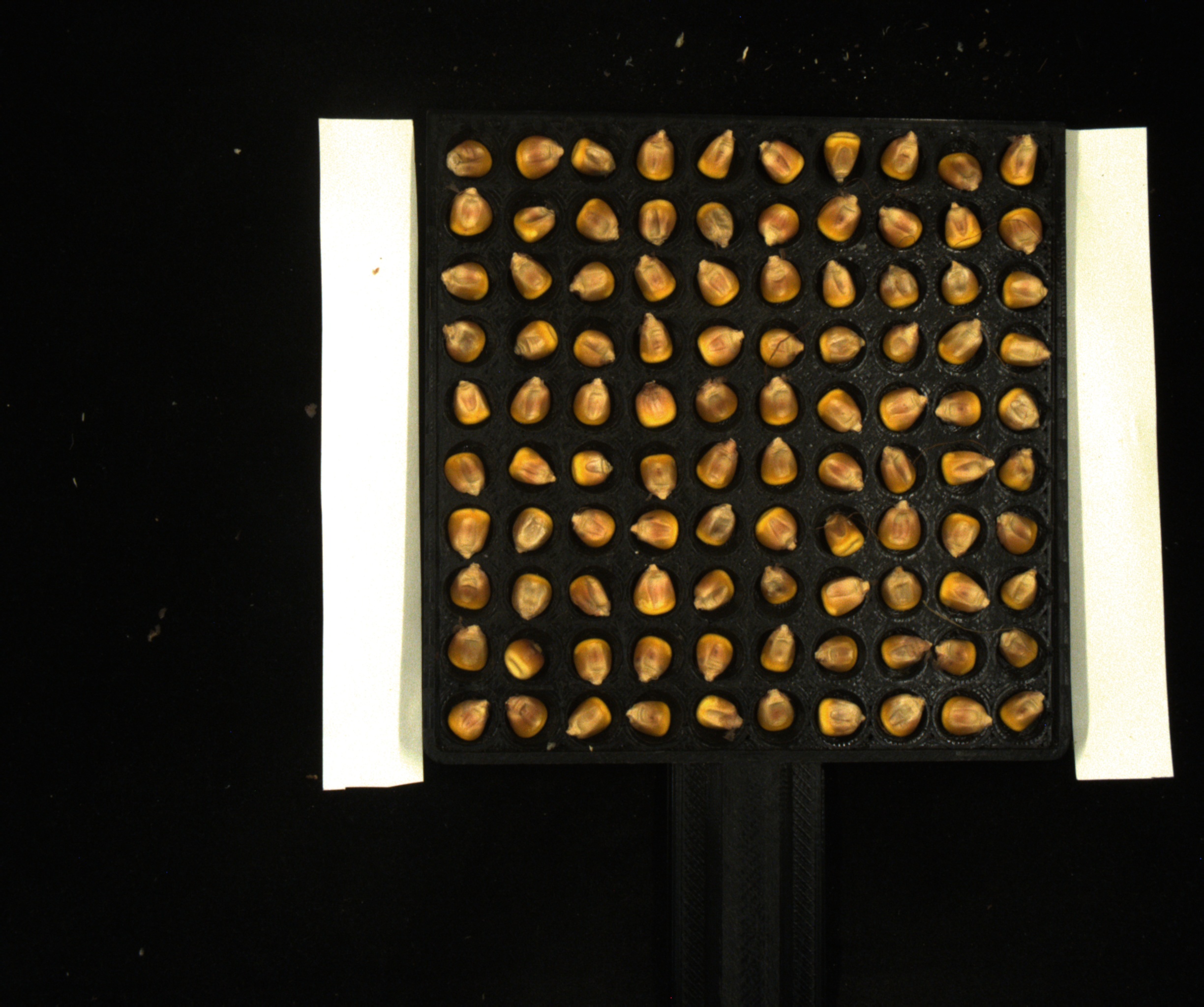 seeds detection Object Detection Dataset by seedsegment