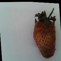 fruit detector v2.5 project thumbnail