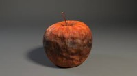 shelf life classifier project thumbnail