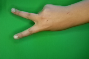 rock_scissor_paper Object Detection Dataset by amugea