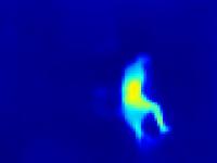 Thermal Imaging Fall and Pose project thumbnail