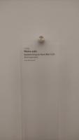 MuseObjects project thumbnail