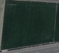 YUNLIN project thumbnail