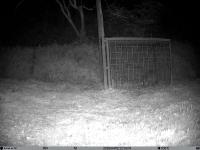 Wildlife damage project thumbnail