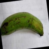 Plaintain project thumbnail