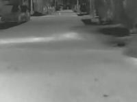 alls project thumbnail