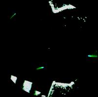 Post Detection project thumbnail