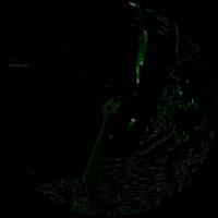 Bounding Box detection project thumbnail