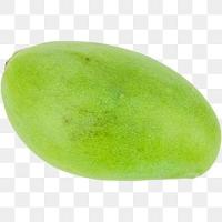 Deteksi Mangga project thumbnail