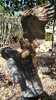 MCASTBirdDetectionDissertation project thumbnail