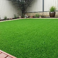 grass project thumbnail