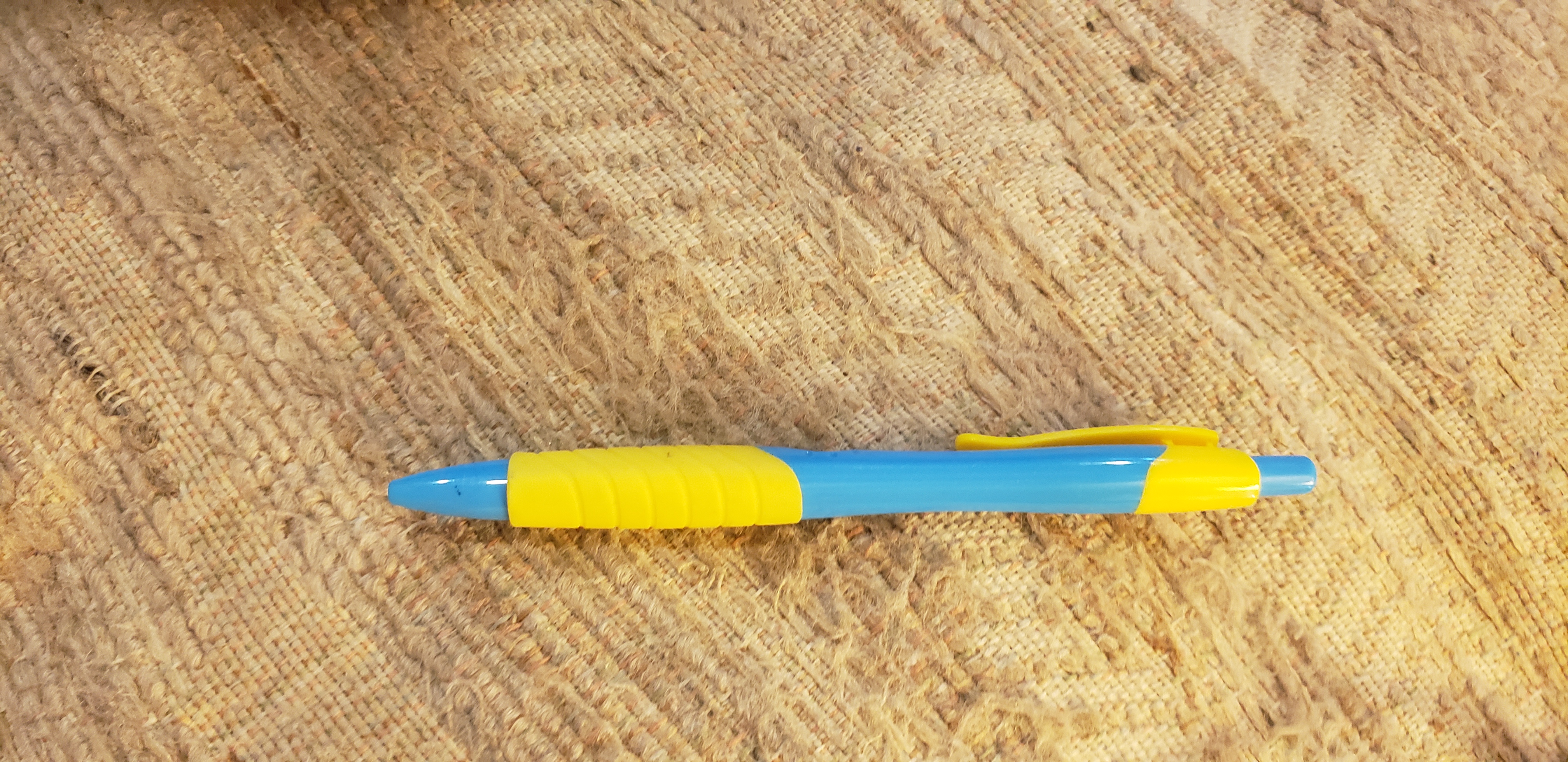 Victor Young Roboflow Universe