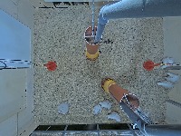 Project1 project thumbnail
