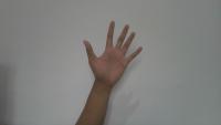 HandGesture project thumbnail