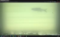 Main_Dataset  2 project thumbnail