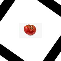bad food project thumbnail
