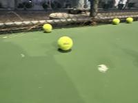 Batch 2 Tennis Balls project thumbnail