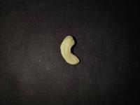Cashew-Kernel-Segregation project thumbnail