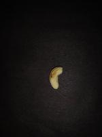 Cashew Segregation project thumbnail
