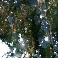 Deforestation Detection project thumbnail