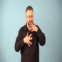 SignLanguage project thumbnail