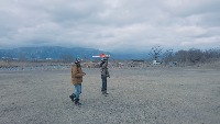 Dataset Image