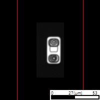 yolov10m inference retrain project thumbnail