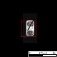YOLO defects classify project thumbnail