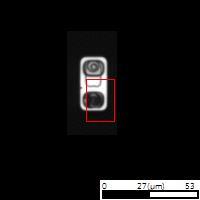 defect type test project thumbnail