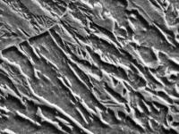 fracture surface project thumbnail