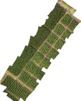 Tobacco Crop Detection aerial 2 project thumbnail