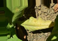 Tobacco Leaves Segmentation project thumbnail