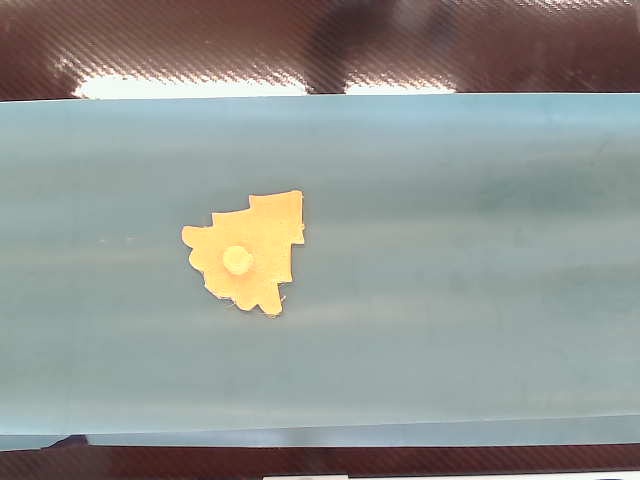 detector3 Keypoint Detection Model by douglas